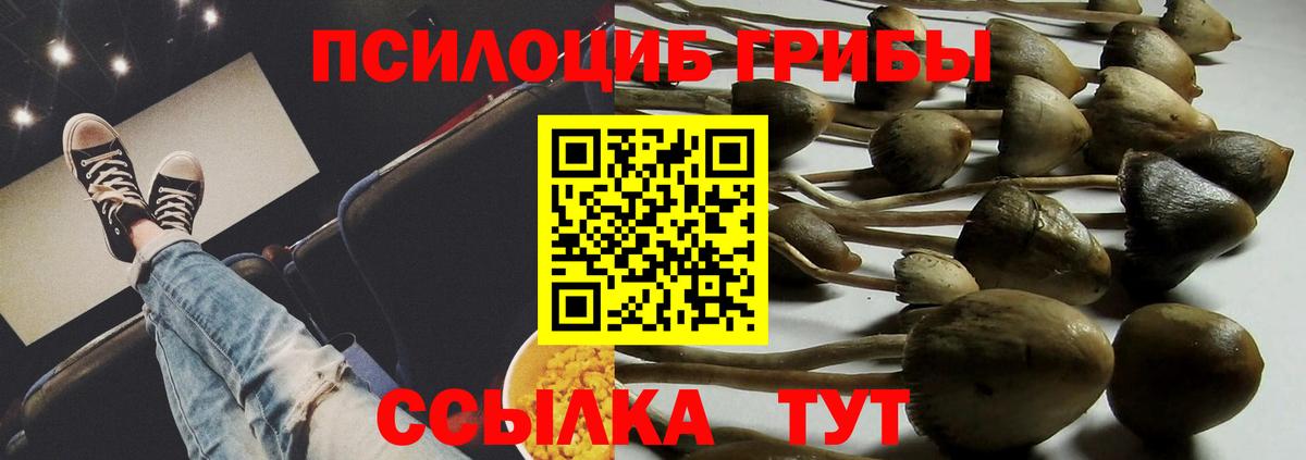 Самара  Галлюциногенные грибы GOLDEN TEACHER  Вход с VPN 